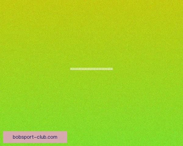 世界杯竞猜网站新手指南与投注技巧解析助你轻松提升预测胜率